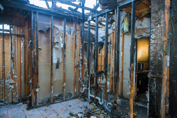 Professional Fire Damage Repair technician working in Salina, UT